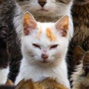 .sevsin#4933's avatar