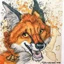 tibsfox