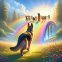 cat_musique