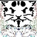 __alycat