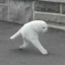 wazaby_