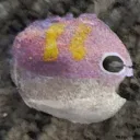 toocoolpoolnoodle
