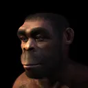 houssamelcouitro
