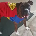 ix_krypto