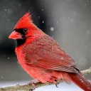 heaven_sent.hell_proof