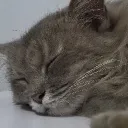 wishnukun