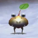shimtex