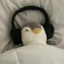 vsilentt.