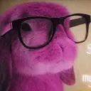 mrsteeletrap