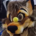 wolfylion