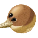 jak_atackka