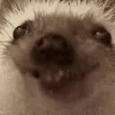 peejohn