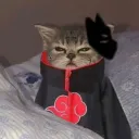 aymergirl