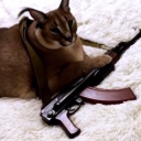 heinrich2073's Avatar