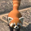sobakasu