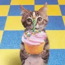 shortycatmiaou