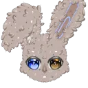 fluffyandthebozos