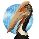 queerflamigo