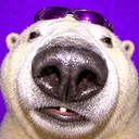 polarbearr