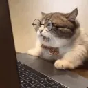 mattriosca