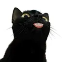 smhily