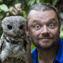 torugo34#6932's avatar