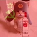 _pj_mr_