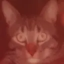 quintenvana
