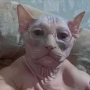 muratura
