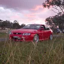 stevo31
