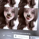 dalillnemtfk
