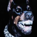 avatar .D̸̎̃̂͑a̴̿͠͝v̵̑̽̓͝e̸̾̚