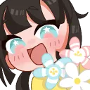 kittocassie
