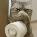 _ttea