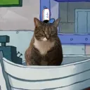 leensie