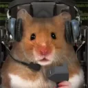 hammyfresh