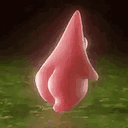 impy_