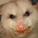 posumm