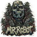 mrrobot307