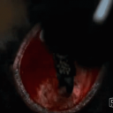 dimeeater#9854's avatar