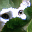 avatar ⛧ bozhewillniy