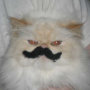 avatar ⛧ bozhewillniy