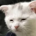 axtorm