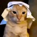 azaa4