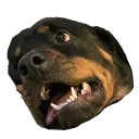 itskaveh