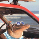 coolcrock