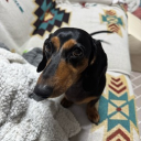 blue_eye0607#1946's avatar