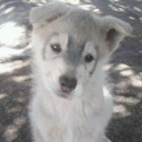 avatar fee          ᶻ𝗓