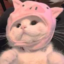 rosie.com