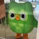 duolingo9937
